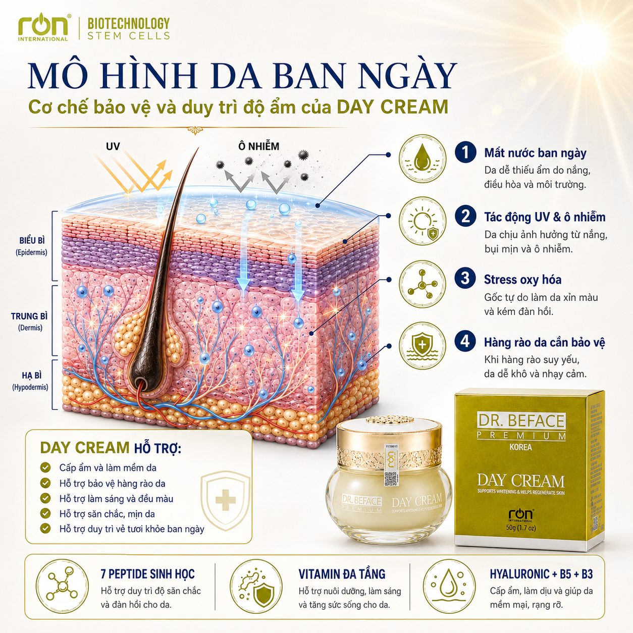 DAY CREAM Peptide Sinh Học Đa Tầng | Kem Dưỡng Phục Hồi &amp; Chống Lão Hóa Da Ban Ngày